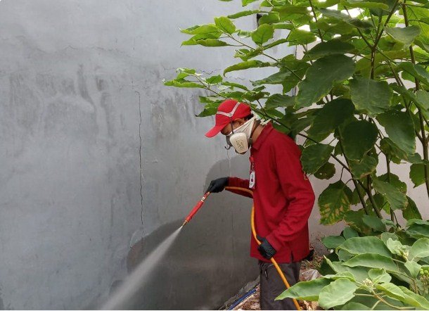 Control de pestes en Lima