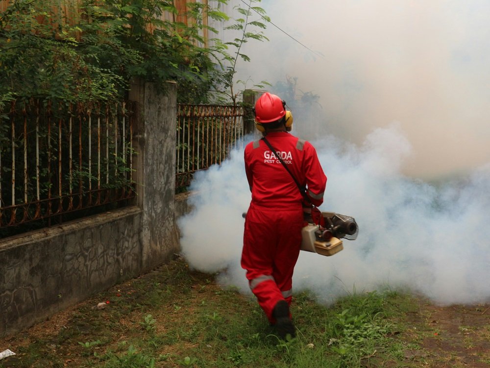 Exterminadores de pestes en Lima